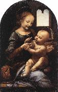 Madonna Benois Madonna with a Flower Leonardo  Da Vinci